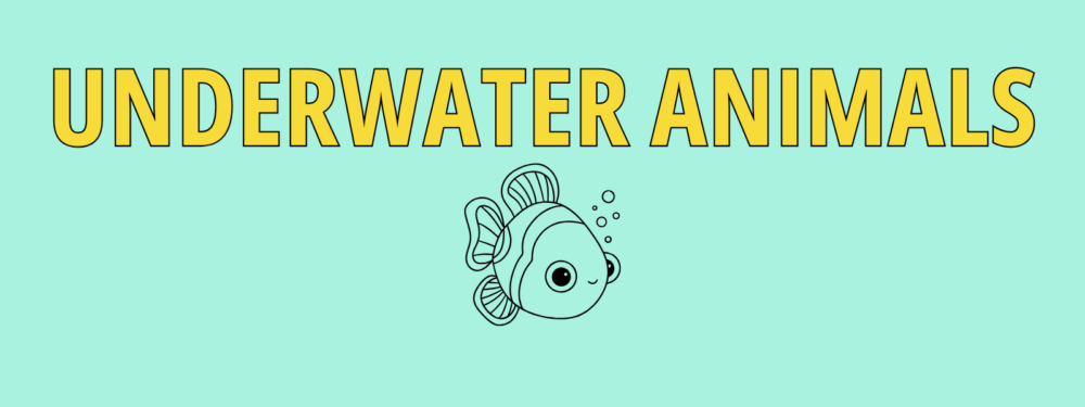 A1 – Underwater Animals